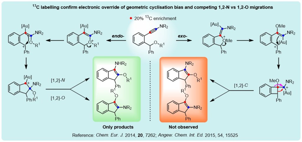 chemdraw diagram showing 13C labelling studies to confirm mechansim - refer to CEJ, 2014, 20, 7262.
