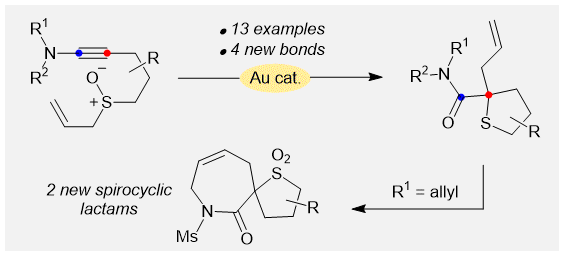 Graphical abstract showing cycloisomerisation of ynamides with attached allyl sulfoxide unit to prepare tetrahydrothiophenes