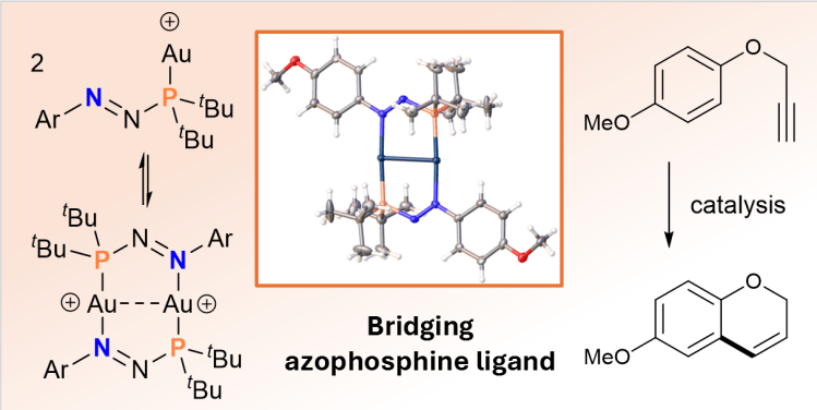A graphical abstract showing the azophosphine ligand and it coordinating to god as a dimer and monomer 